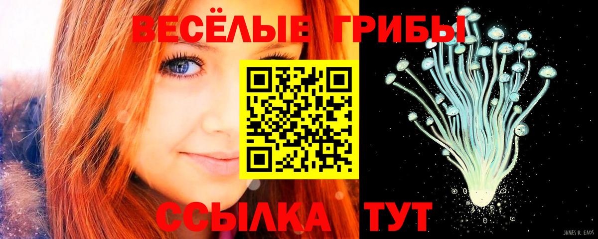Галлюциногенные грибы Magic Shrooms Минусинск